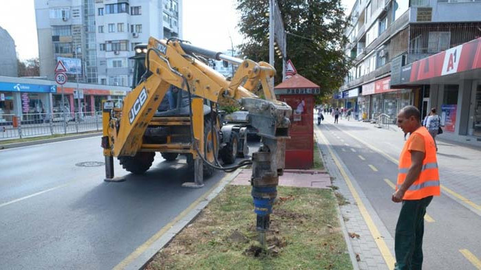 Засаждат 40 нови дръвчета във Варна
