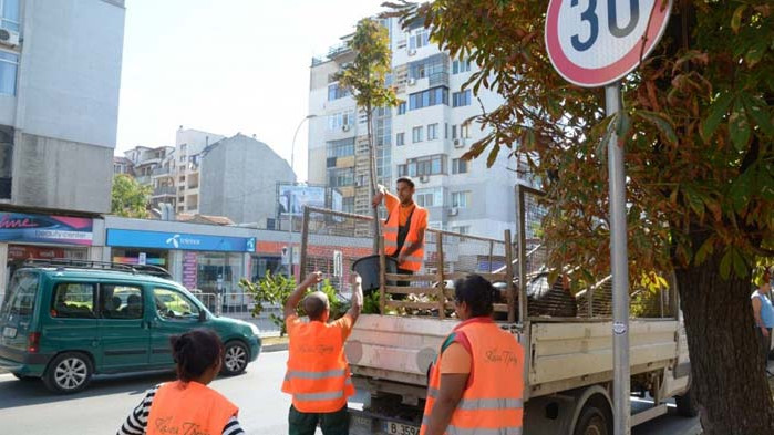 Засаждат 40 нови дръвчета във Варна
