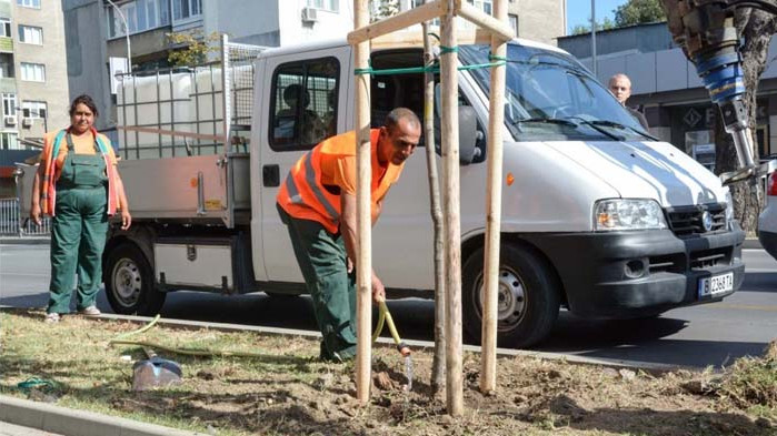 Засаждат 40 нови дръвчета във Варна