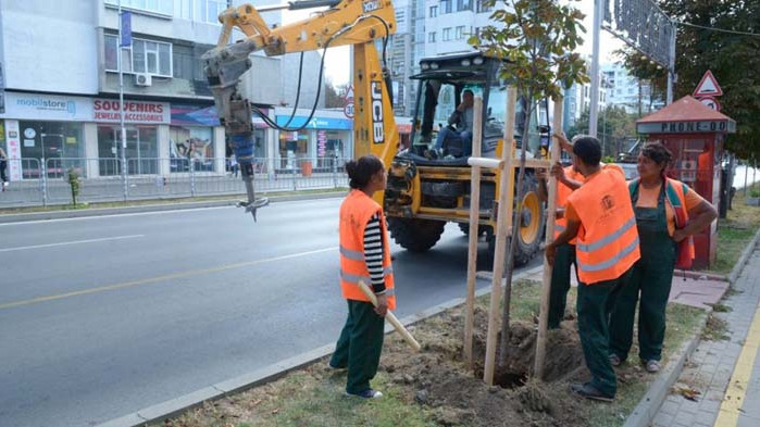 Засаждат 40 нови дръвчета във Варна