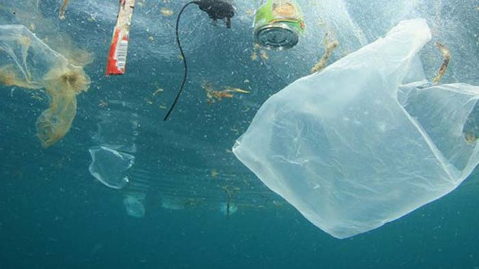 Моретата по света продължават да са огромни бунища – само пластмасата е близо 14 милиона тона