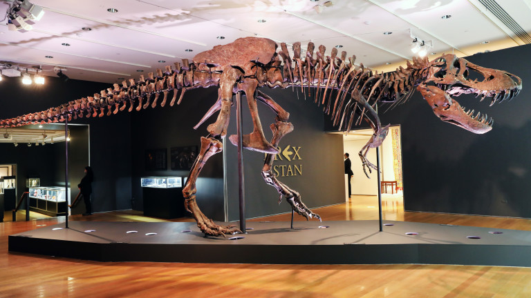 Т-Рекс, останките от динозавъра Стан и продажбата им за близо 32 милиона долара