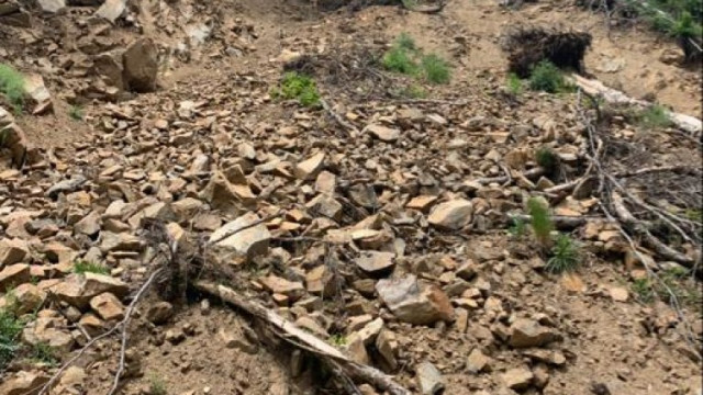 Свлачището в местността "Трифон Зарезан" край Варна нямало да бъде укрепено тази година