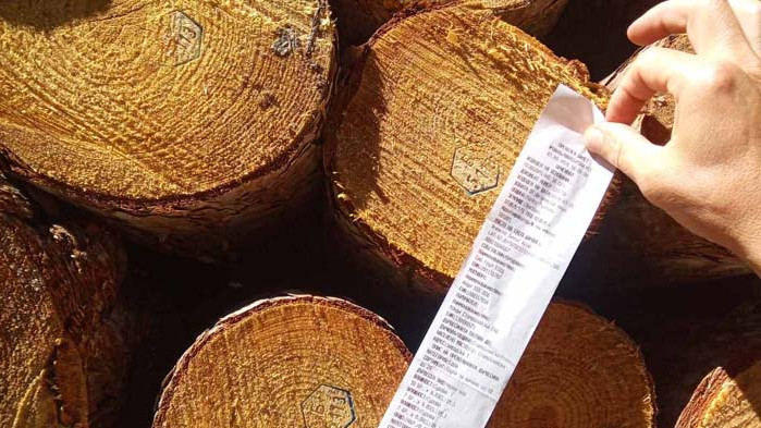 200 кубика дърва за огрев задържаха горските служители през изминалата седмица