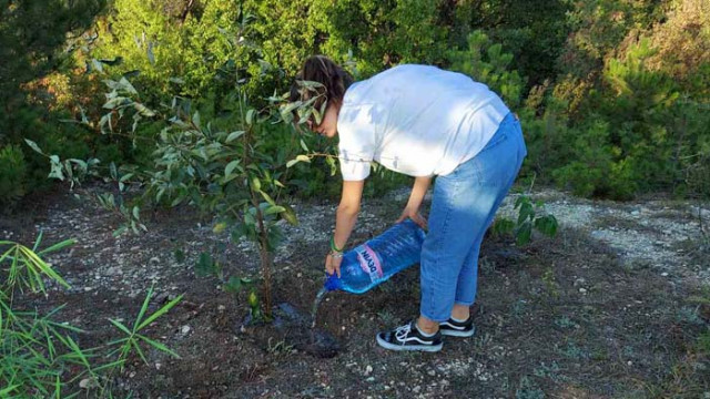 Ученици засадиха дръвчета край Варна