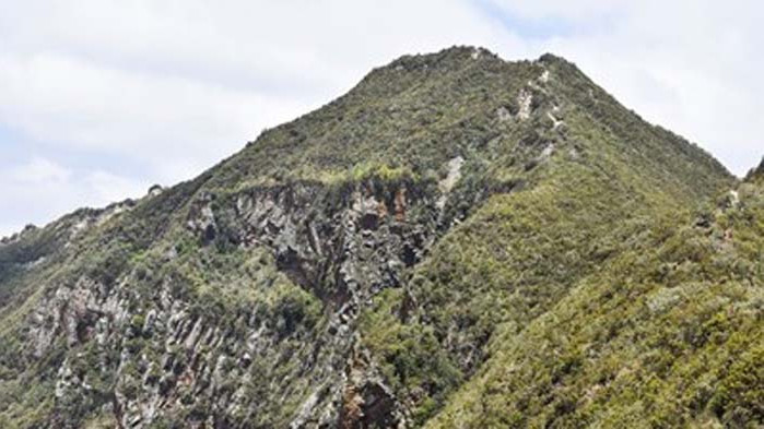 Заради горски пожар евакуират туристи от Килиманджаро