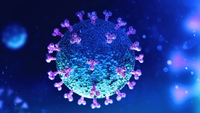 Без нови заболели от COVID-19 в област Русе за последното денонощие