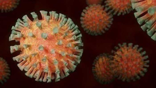 Броят на заразените с COVID-19 в Словения надхвърли 24 000