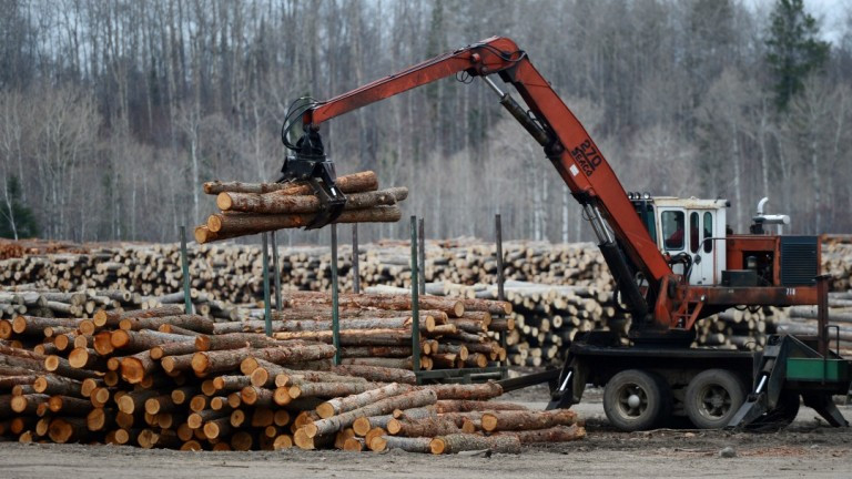 За 150 млн. лева е нелегалният дърводобив у нас през 2019 г.