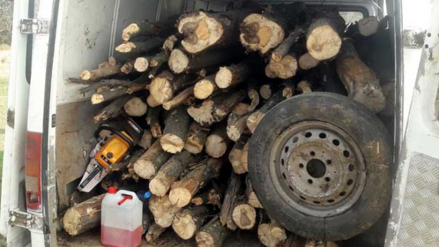 Горски инспектори от РДГ Шумен заловиха трима системни нарушители