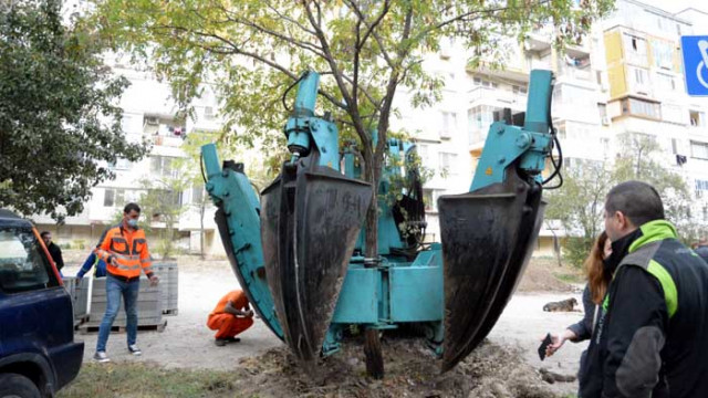 Специалисти проведоха обучение на озеленители от Варна