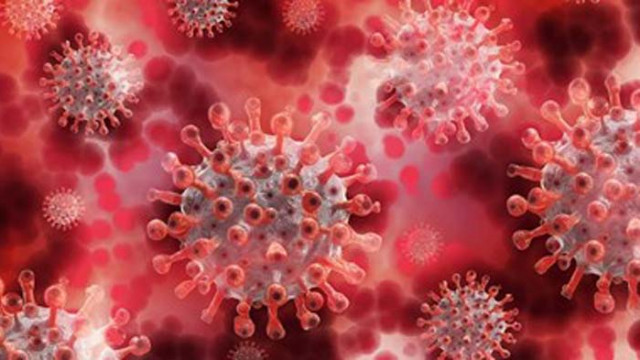 41-годишен без придружаващи заболявания е сред починалите от COVID-19