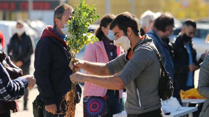 16 хиляди дръвчета подарък за столичани за обогатяване на зелената система на града