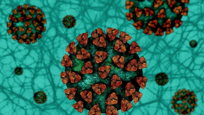 19 току-що завършили лекари са изявили желание да влязат в борбата с COVID-19 в болниците във Варна