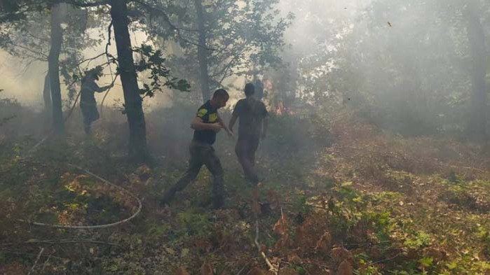 50 000 дка спасени гори в края на пожароопасния сезон