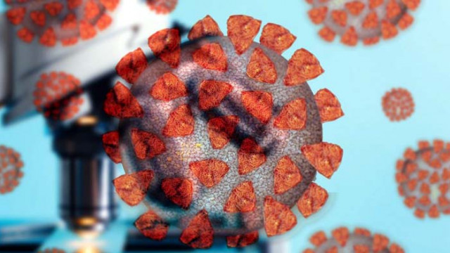 Епидемиолог: Не е изключено след 3 седмици да има 360 починали с COVID-19 на ден