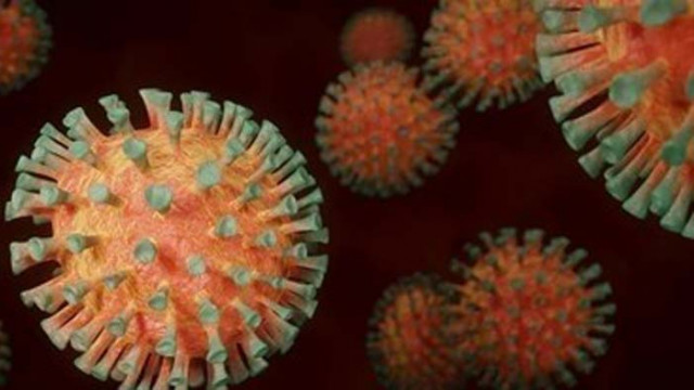 Арестуваха в Париж продавачи на фалшиви отрицателни тестове за COVID