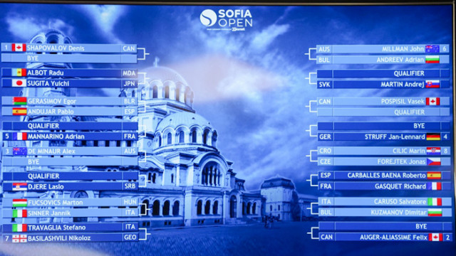 Любопитни факти за София Оупън