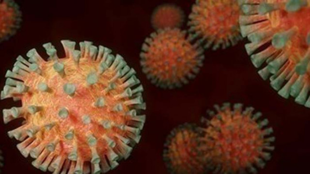 84 са съдиите с COVID -19, а други 71 са под карантина