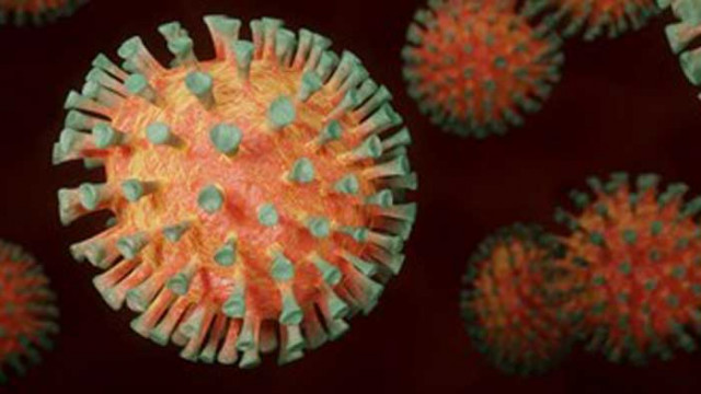 Литва с рекорден ръст на новозаразените за денонощие