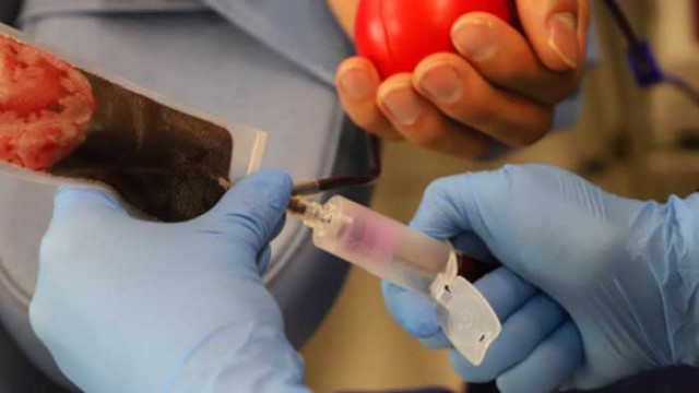 От днес в Кръвния център във Варна започва извличането на кръвна плазма от преболедували COVID-19