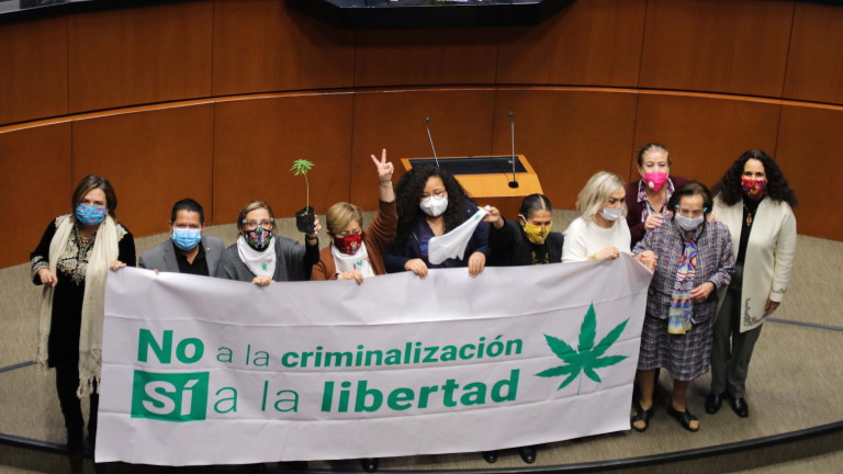 Сенатът на Мексико легализира марихуаната