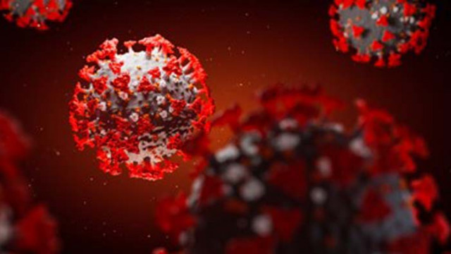 Ето как се разпространява COVID-19 по света