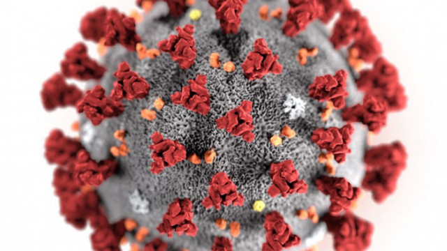 В опит да установят произхода на COVID-19 експерти на СЗО ще посетят Китай