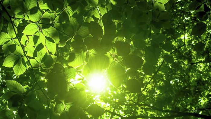 Слънчев календар – събота, 6 юни 2020 г.