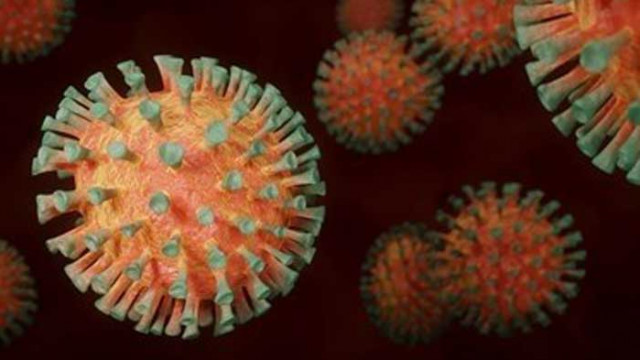 Рекорден брой пациенти в интензивните отделения в Румъния заради COVID-19