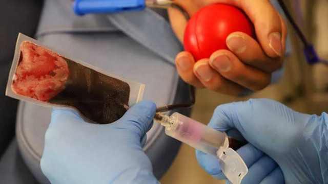 И в Община Аврен с кампания за даряване на кръвна плазма