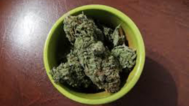 1000 лева глоба наложи Варненският районен съд на 18-годишен за държане на марихуана