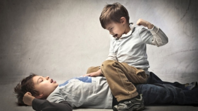 Детето като свидетел на насилие над друго дете