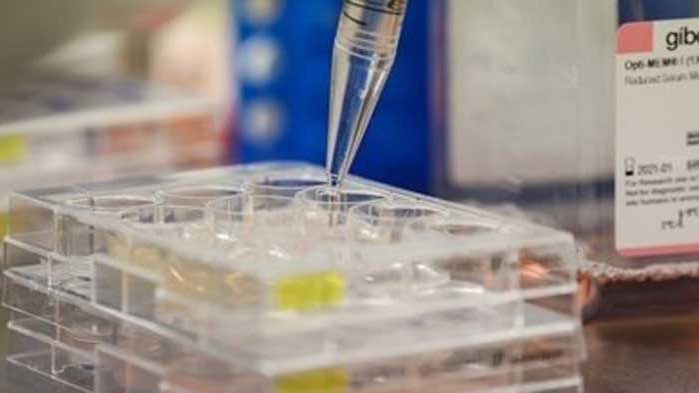 Рекордните 90 хиляди пациенти с COVID-19 в САЩ