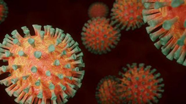 Рекорден брой починали от COVID-19 в Турция за седми пореден ден