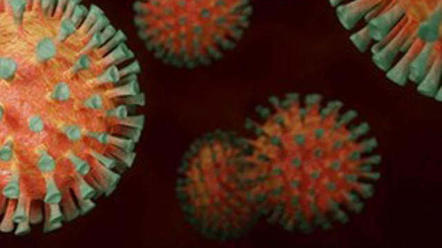 ЕК: ЕС има пълен достъп до договорите за доставка на ваксини срещу COVID