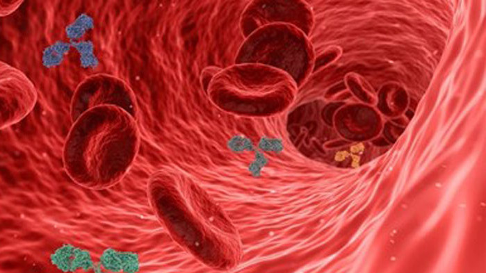 Нови референтни материали за контрол на качеството на тестовете за антитела срещу COVID-19