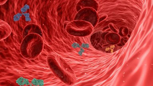 Нови референтни материали за контрол на качеството на тестовете за антитела срещу COVID-19