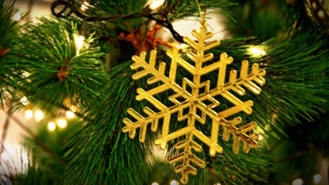 ДГС-Варна дари коледни дръвчета на общината, РИОСВ и едно от РПУ-тата