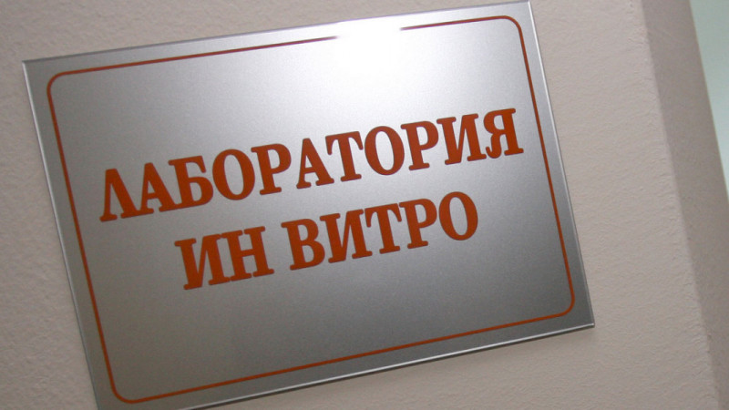 14 двойки с репродуктивни проблеми ще бъдат подпомогнати от общинската инвитро програма във Варна
