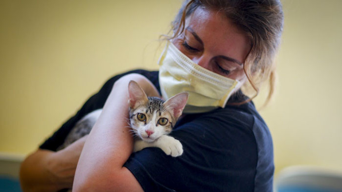 Първата ваксина срещу COVID-19 за животни ще бъде готова в края на януари