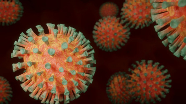 СЗО е в близък контакт с властите във Великобритания заради новия щам на COVID-19