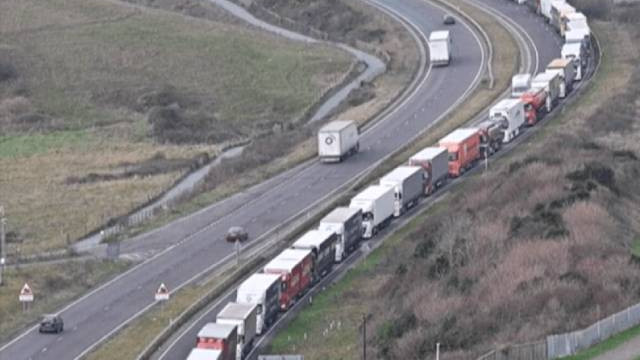 Заради новия щам на COVID-19 десетки държави затвориха границите