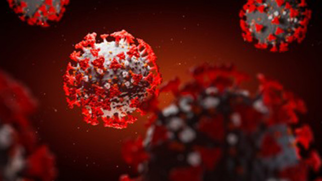 1643 новозаразени с COVID-19 в Хърватия