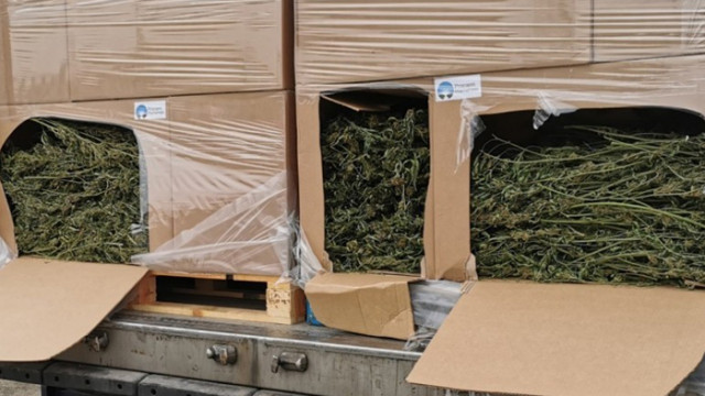 Канабис за над 135 000 лв. откриха на МП Капитан Андреево