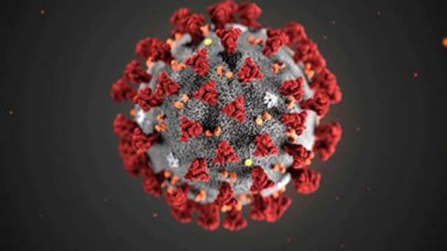 Над 80 милиона са вече заразените с коронавирус в света