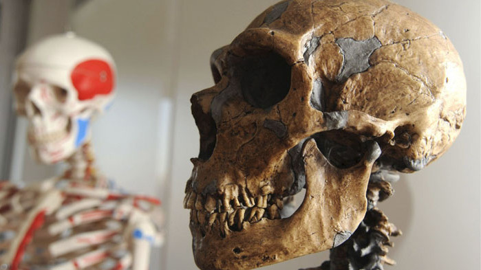 „Билд“: Откритие в България помири неандерталците и хомо сапиенс