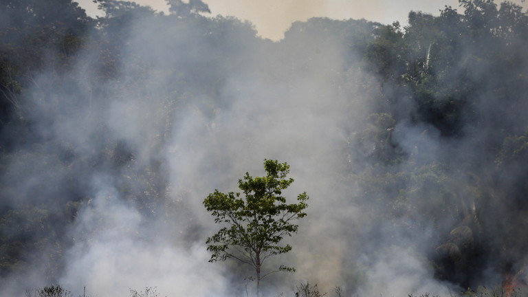 Рекорд на горските пожари за десетилети в Бразилия през 2020 година