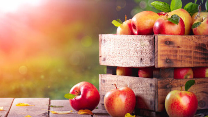 Ябълки, възпаления, диабет, слаб имунитет. Как плодовете помага да се борим с тях