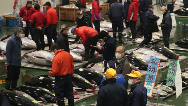 COVID-19 удари и пазара на риба тон